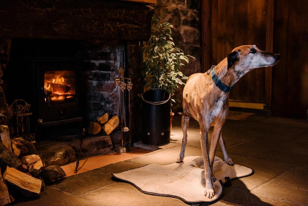 ホテル The Joiners Arms Chathill エクステリア 写真